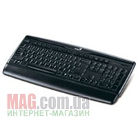 Клавиатура компактная Genius KB-120 Black PS/2 BB
